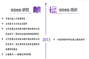 透屄网站非评估类项目发展历程